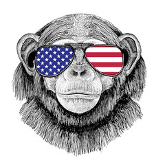 Chimpanzee Monkey Hand drawn illustration for tattoo, emblem, ba