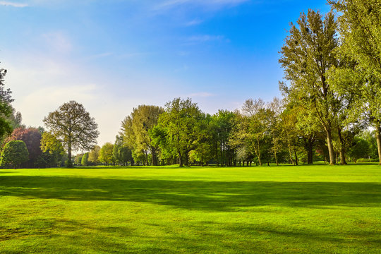 City park. Panorama of a beautiful  park