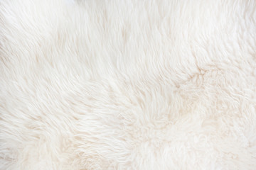 White fur close up background. Texture, abstract pattern.
