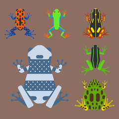 Frog cartoon tropical animal cartoon amphibian mascot character wild vector illustration.