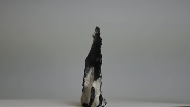 Feuerstein aus der Ostsee rotierend