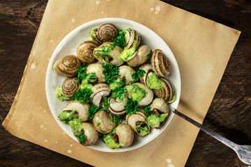 Snails in green butter and herbs sauce, typical French dish