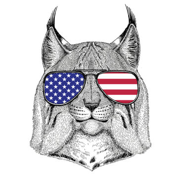 Wild cat Lynx Bobcat Trot Hand drawn illustration for tattoo, em
