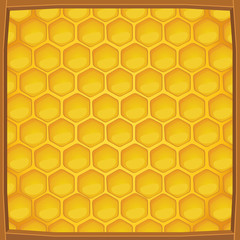 Cartoon honeycomb packed in wooden frame pattern background, Vector illustration