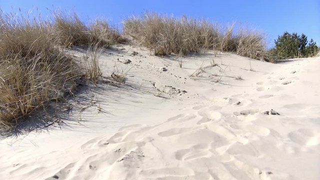 National Park Curonian Spit. Nida. Lithuania