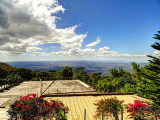 Coffee plantation, Mombacho, Nicaragua