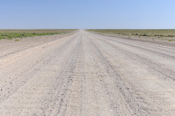 Fototapeta na wymiar Landschaft mit gerader Strasse / Landschaft mit gerader Strasse bis zum Horizont, Namibia, Afrika.