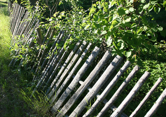 old wooden fence