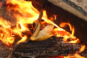 Obraz premium Siberia, Russia. Banana peel on a bonfire.