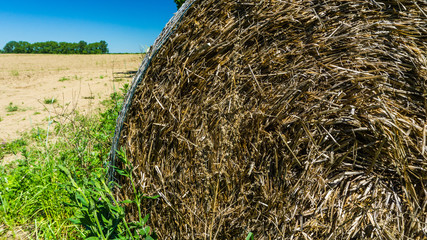 round straw bale