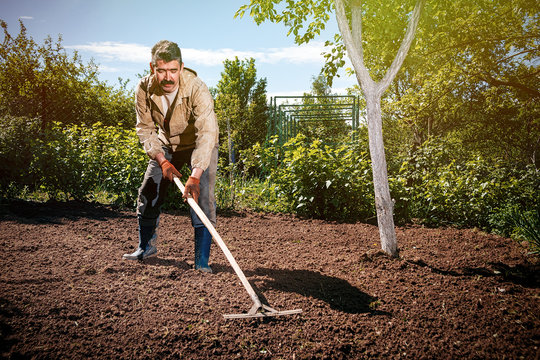 Farmer working in the garden with the help of a rake leveling plowed land, on a sunny day