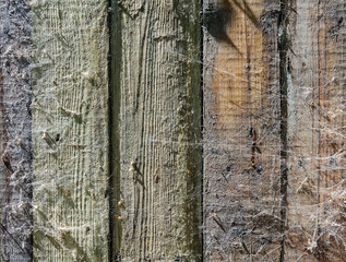 Texture and background of wooden fence with a spider web