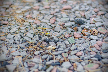 Texture and background of shallow stone. Lithoidal texture