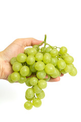 Hand mit Weintrauben