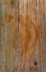 Obraz premium tree close-up texture. Wooden background. Natural texture.