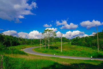 Country road among nature and cloudy blue sky