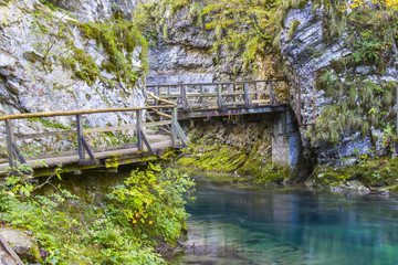 Obraz na płótnie Canvas Vintgar gorge, Slovenia