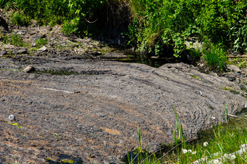 Water drain in the canal. Green algae in water surface.  Environmental pollution