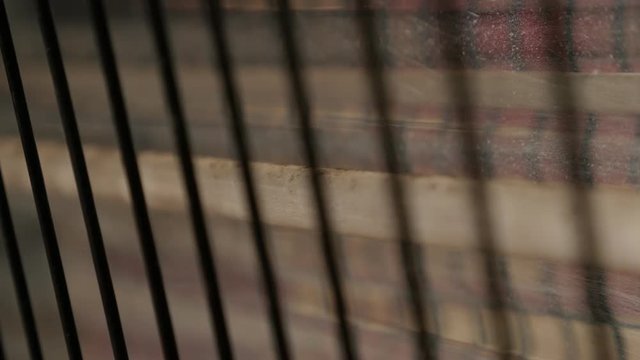Heater lamp disconnected from energy source close-up 4K 2160p 30fps UltraHD footage - Old quartz heating lamp and protective metal grill 3840X2160 UHD video 