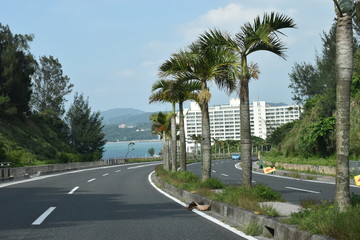 Fototapeta premium 国道５８号線