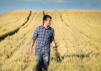 Farmer with tablet in wheat field