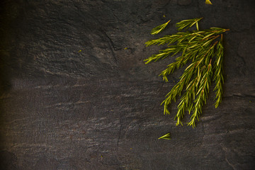 Rosemary on the table