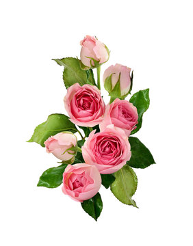 Pink rose flowers and buds bouquet