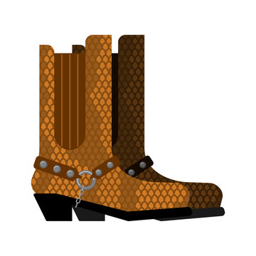Cowboy boots made python leather. Australia shoes made crocodile skin