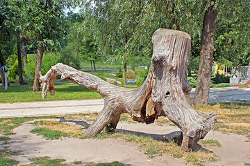 Wooden snag in the form of dinosaur in Feofaniya park, Kyiv, Ukraine