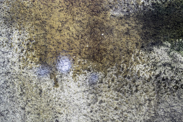 Old wall