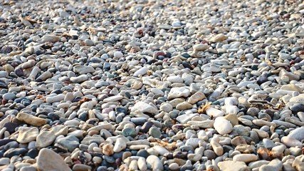 stone on se beach