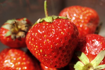 Fraises