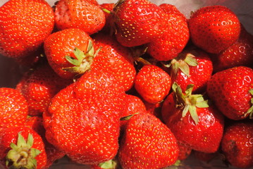 Fraises