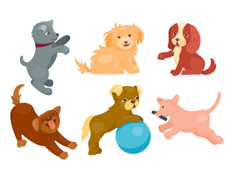 Vector illustration cute playing dogs characters funny purebred puppy comic happy mammal breed