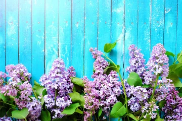 Foto auf Acrylglas Lila Beautiful lilac on a blue wooden background
