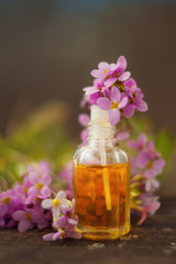 Obraz na płótnie Canvas Essential oil of Arabis flower on a table in beautiful bottle