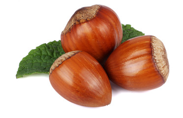 hazelnuts with green leaf isolated on white background