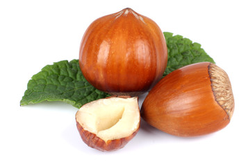 hazelnuts with green leaf isolated on white background