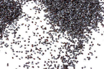 poppy seeds isolated on white background