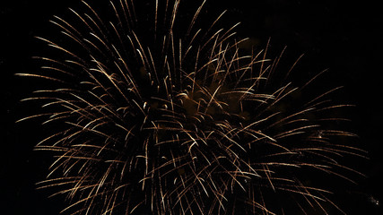 fireworks in the night sky in honor of the holiday.