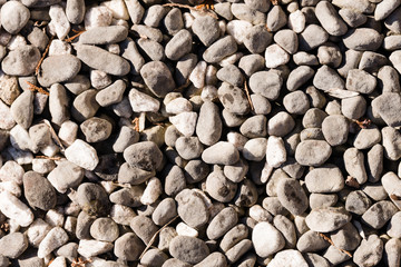 Detailed view of a stone garden - for background purposes