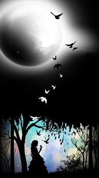 Night Princess cartoon character in the real world silhouette art photo manipulation