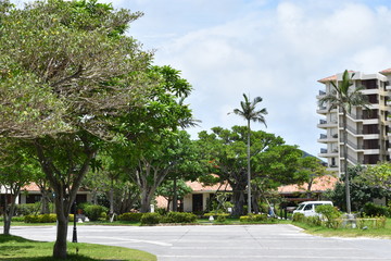 Fototapeta premium 沖縄のリゾーｔ