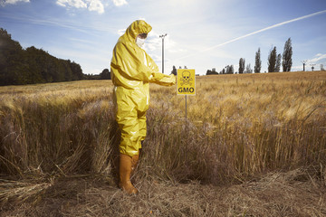 Man in yellow suit working with genetically modified cereals on field