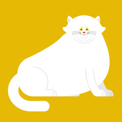 Fat white cat isolated. Big Thick pet home