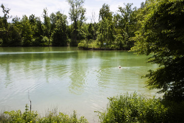 Germany, Bavaria, summer view of Poschinger Weiher lake near Munich, green waters inviting to a refreshing bath