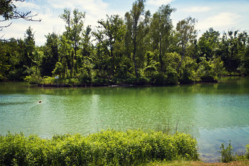 Germany, Bavaria, summer view of Poschinger Weiher lake near Munich surrounded by green lush vegetation