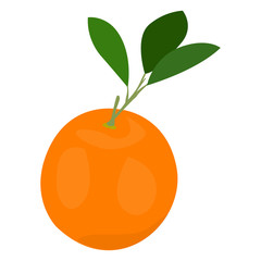 Isolated orange on a white background, Vector illustration