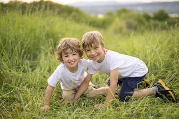 Brother play together in a green meadow