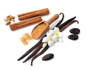 Spices isolated.